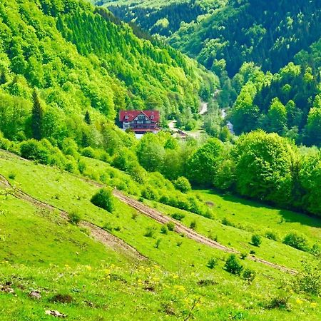 Cabana Izvoarele Doftanei Trăisteni Eksteriør billede