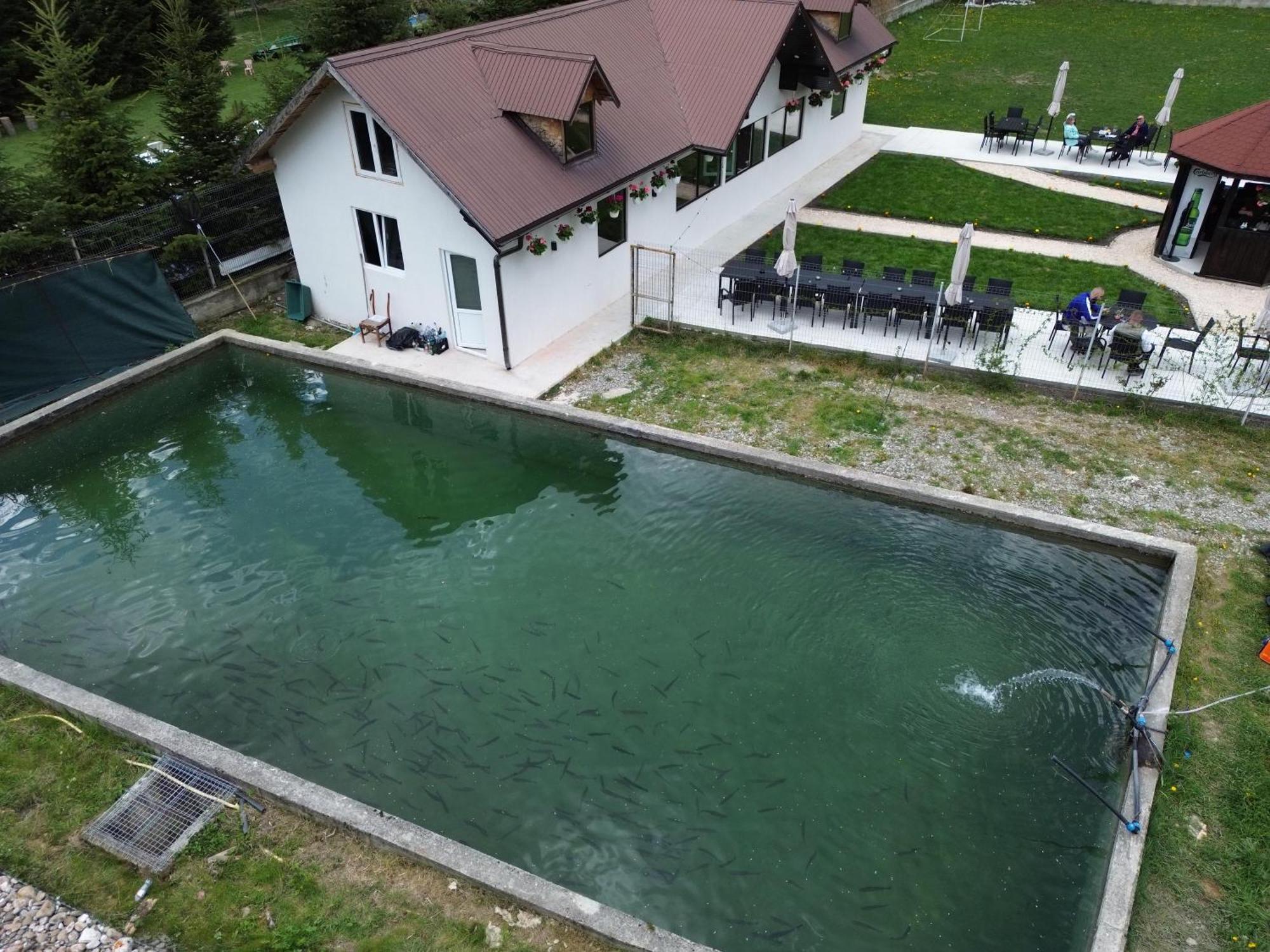 Cabana Izvoarele Doftanei Trăisteni Eksteriør billede
